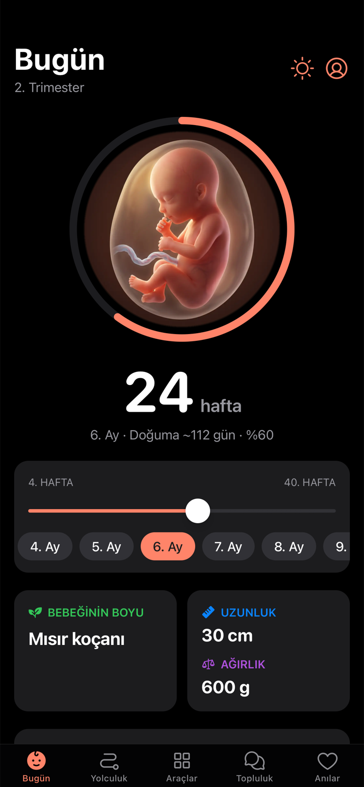 Filiz Bugün ekranı: 24. hafta, bebeğin gelişim görseli, doğuma kalan gün ve hafta kaydırıcısı.