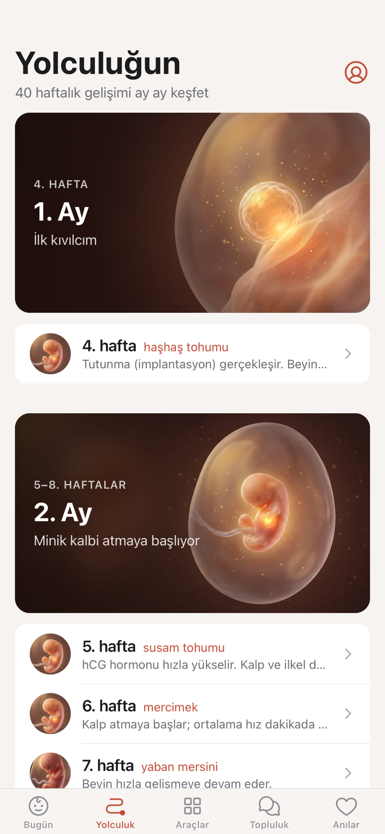 Yolculuk ekranı: haftalar listesi, her satırda boyut karşılaştırması.